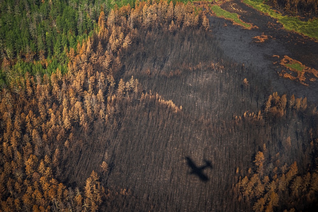 « Notre patrie brûle »: en Sibérie, des bénévoles au front des feux de forêts