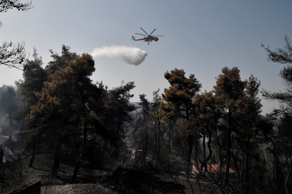 Incendie de forêt sur le mont Penteli près d'Athènes: des dégâts matériels