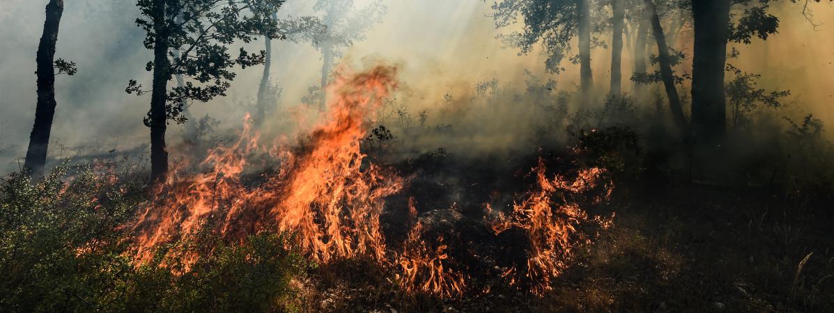 Incendies en Sardaigne: l'Italie demande l'aide des pays voisins. AFP
