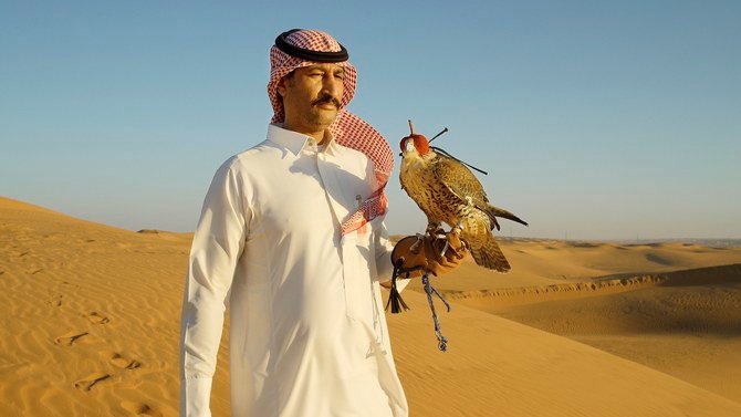 Wild Allies: de majestueux faucons prennent leur envol dans un nouveau documentaire saisissant
