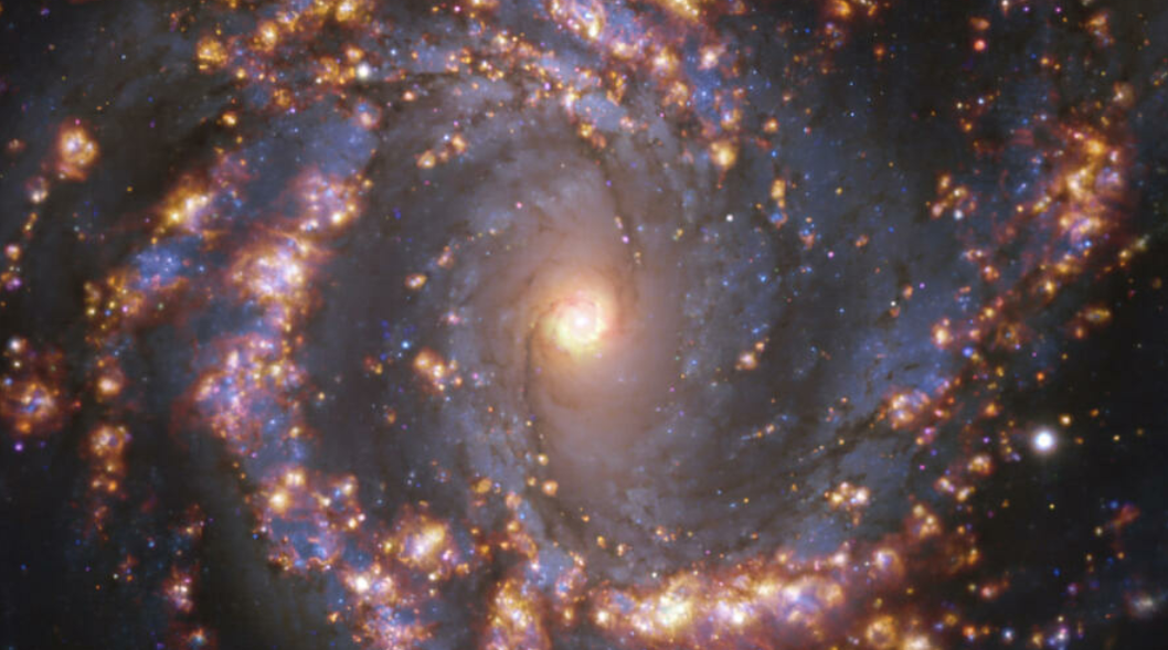 Image composite de la galaxie NGC 4303, située à environ 55 millions d'année-lumière, prise avec l'instrument MUSE du Très grand télescope de l'ESO et diffusée le 16 juillet 2021, avec des nuages dorés marquant la présence de nouvelles étoiles, et des zones bleutées où se trouvent de plus anciennes. Photo European Southern Observatory/AFP