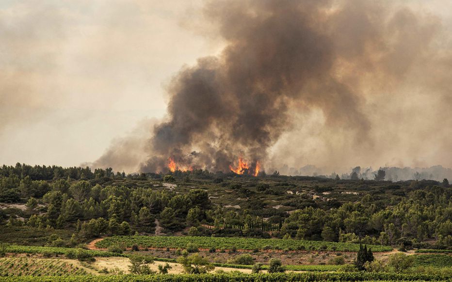 Des fumées s'échappent d'un feu de forêt près de Fabrezan, dans l'Aude, le 24 juillet 2021. AFP/Archives