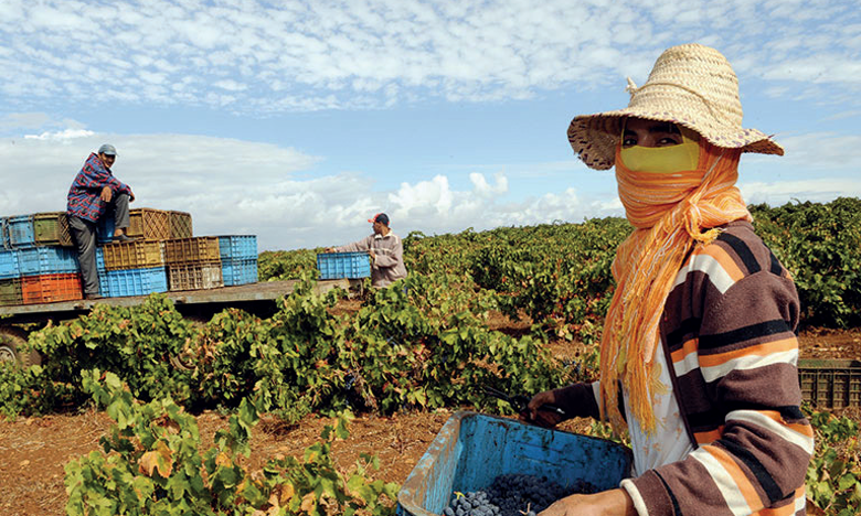 Comment les agriculteurs ont rattrapé le retard du démarrage