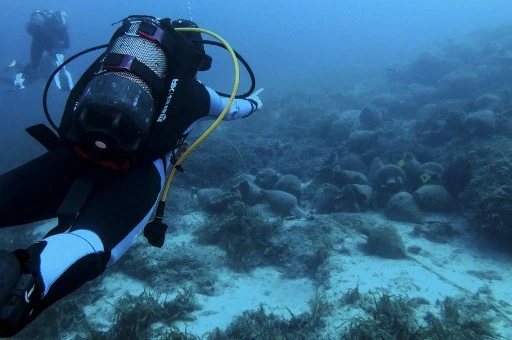 Les plongeurs visitent le musée sous-marin de la mer Égée, au large des côtes de l'île grecque d'Alonissos, le 20 juillet 2021. Reposant à près de 30 mètres de profondeur pendant près de 2 500 ans, l'épave du Peristera s'est ouverte aux plongeurs récréatifs au cours de l'été 2020. (Will Vassilopoulos / AFP)