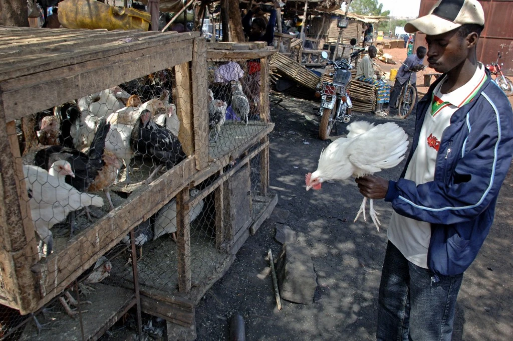 Éliminer la faim d'ici 2030: un objectif compromis un peu plus par la pandémie