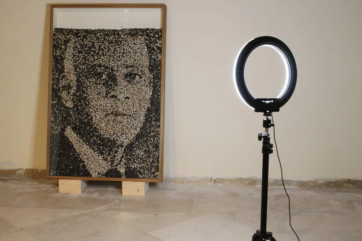 «Alea jacta est.tn», exposition personnelle de Wissem el-Abed: «Le sort en est jeté»