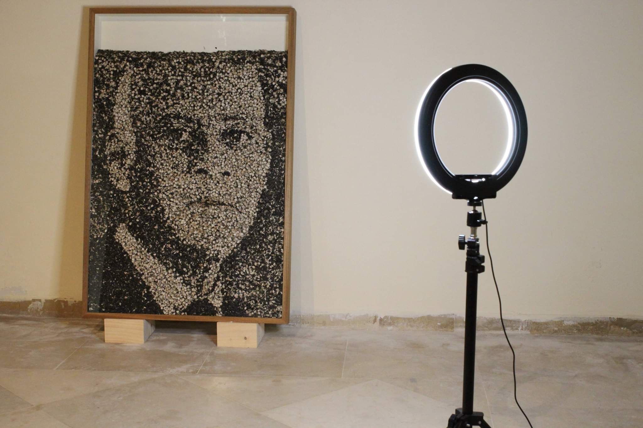«Alea jacta est.tn», exposition personnelle de Wissem el-Abed: «Le sort en est jeté»