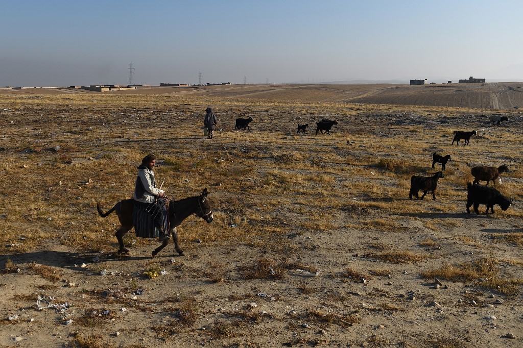 Appel de l'ONU aux donateurs pour aider l'Afghanistan face à la sécheresse