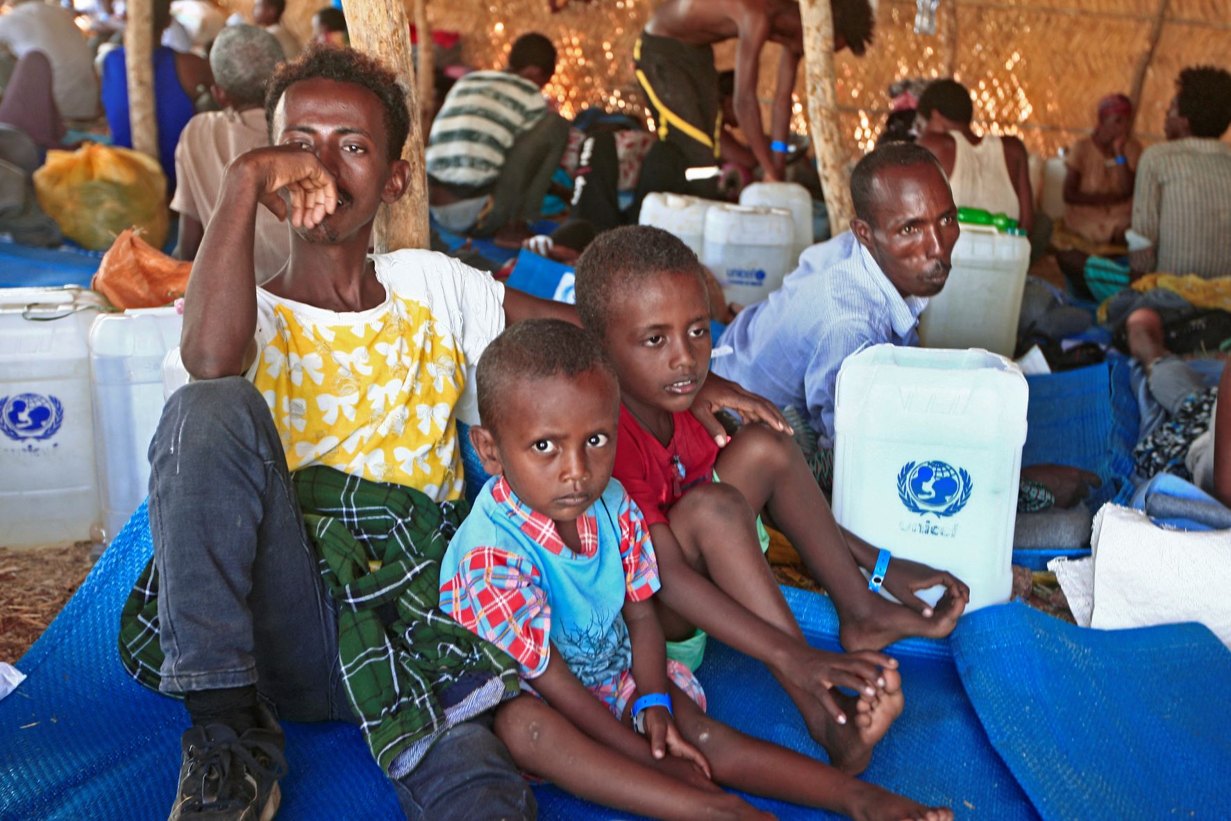 Ethiopie: l'ONU s'inquiète des récoltes au Tigré sur fond de criants besoins alimentaires