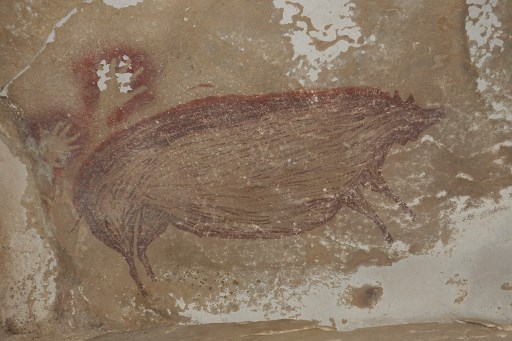 Des archéologues ont découvert la plus ancienne peinture rupestre connue au monde : une image grandeur nature d'un cochon sauvage qui a été réalisée il y a au moins 45 500 ans en Indonésie. La découverte a été décrite dans la revue Science Advances le 13 janvier 2021 et fournit également les premières preuves de l'établissement humain de la région. (Maxime Aubert/Université Griffith/AFP)