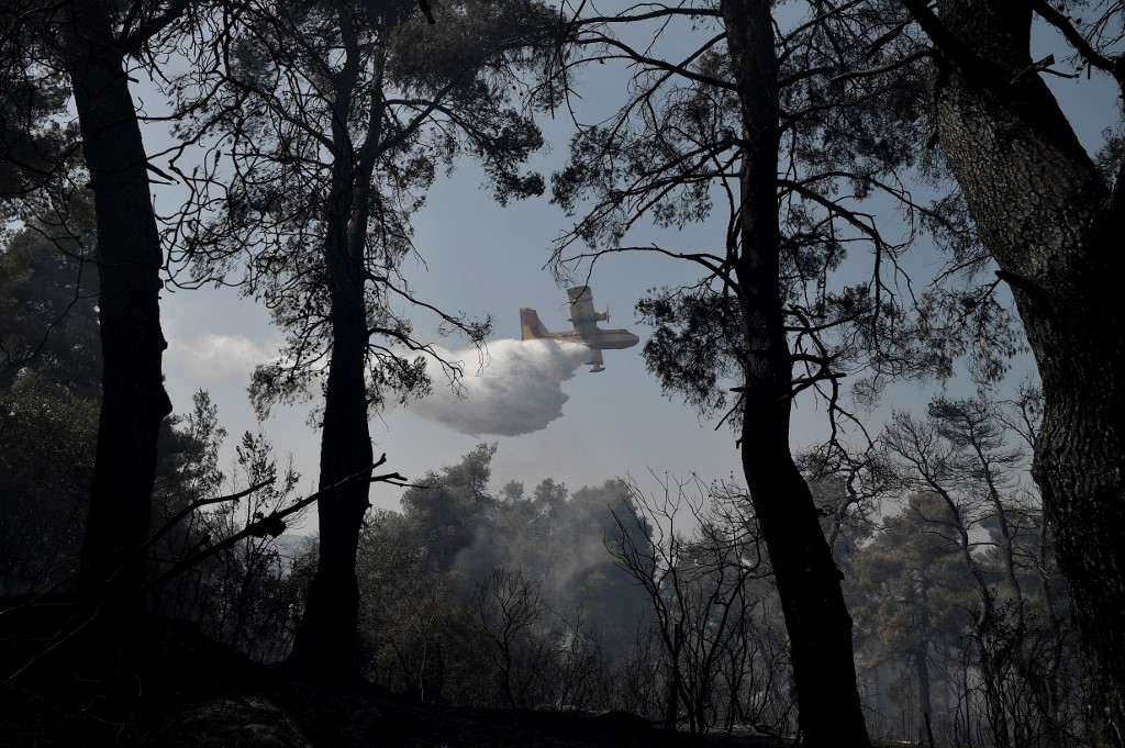 Incendies en Turquie: l'UE envoie trois Canadair, le nombre de victimes s'élève à huit