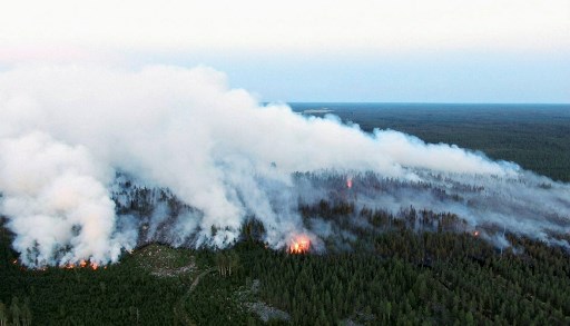 Réformer les programmes environnementaux internationaux