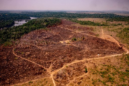 Amazonie: le Brésil n'atteindra pas son objectif de réduction de la déforestation