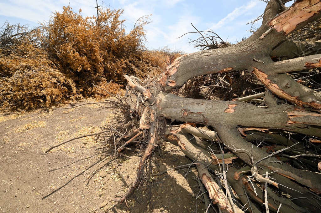En Californie, la guerre de l'eau aura bien lieu