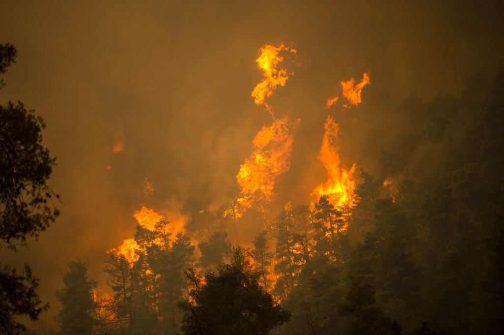 Incendies en Grèce: l'île d'Eubée en feu, rémission au nord d'Athènes