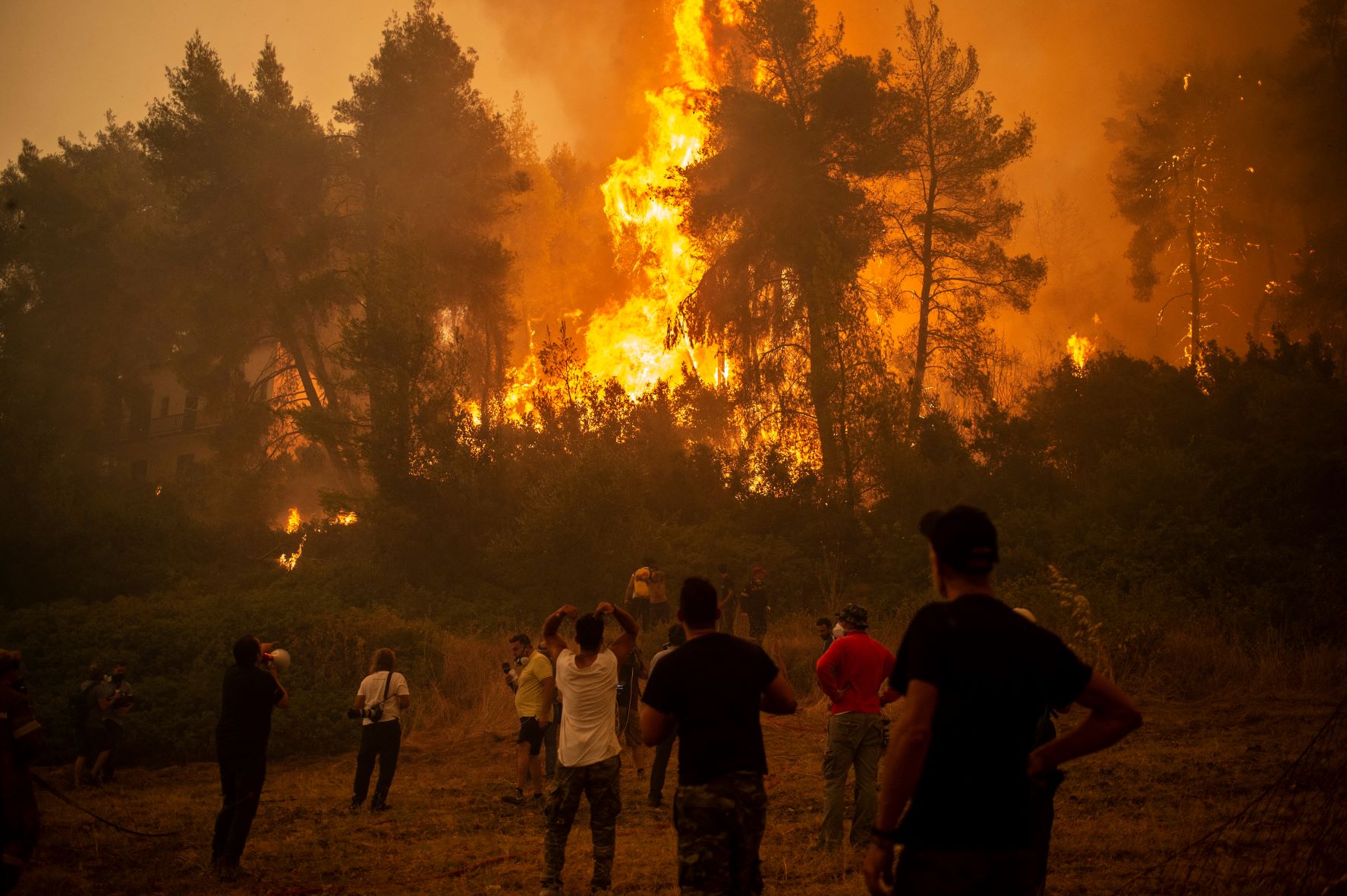 En Grèce, près de 100 000 hectares brûlés en deux semaines, triste record depuis 2007