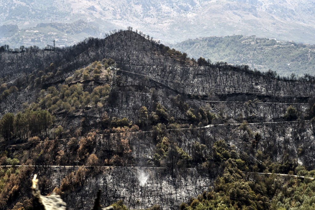 Le Maroc prêt à aider l'Algérie pour faire face aux incendies