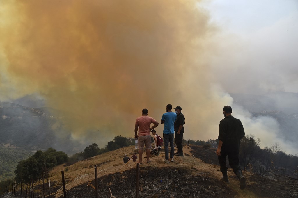 Algérie/incendies : l'opposition indépendantiste kabyle veut une «enquête internationale»
