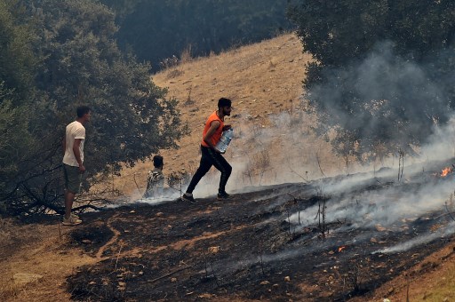 Incendies: et maintenant que faire?