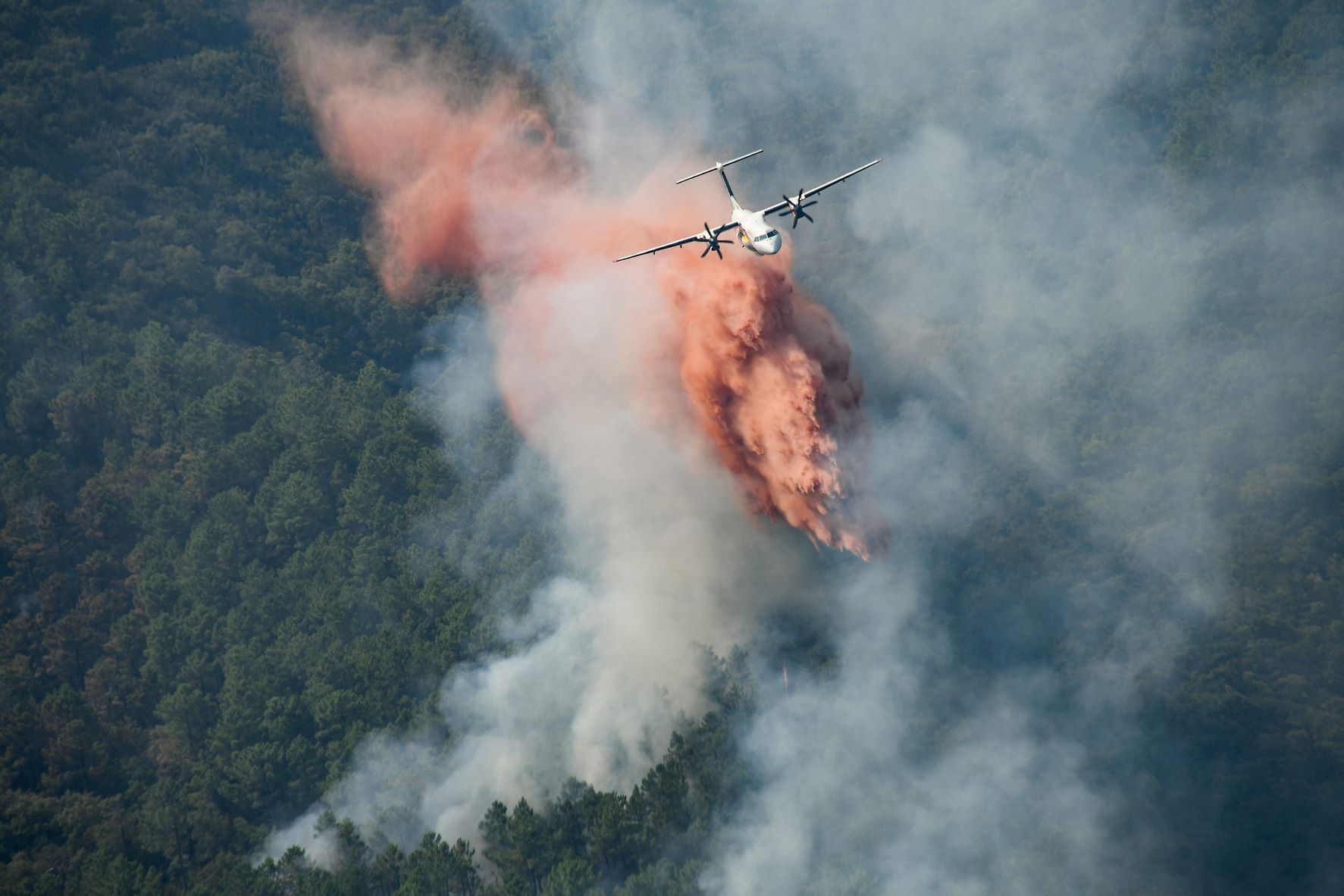 Sur la Côte d'Azur, des vignerons «anéantis» par les dégâts de l'incendie