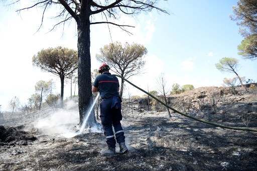 Landes: les deux incendies de forêt «circonscrits», plus de 100 ha brûlés