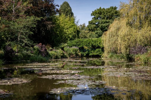 Une photographie montre le jardin japonais de la maison du peintre impressionniste français Claude Monet à Giverny, dans le nord-ouest de la France, le 25 août 2021.Le jardinier en chef de Giverny Gilbert Vahé a restauré le jardin de Monet, qui a vécu à Giverny pendant 43 ans. (Bertrand Guay/AFP)