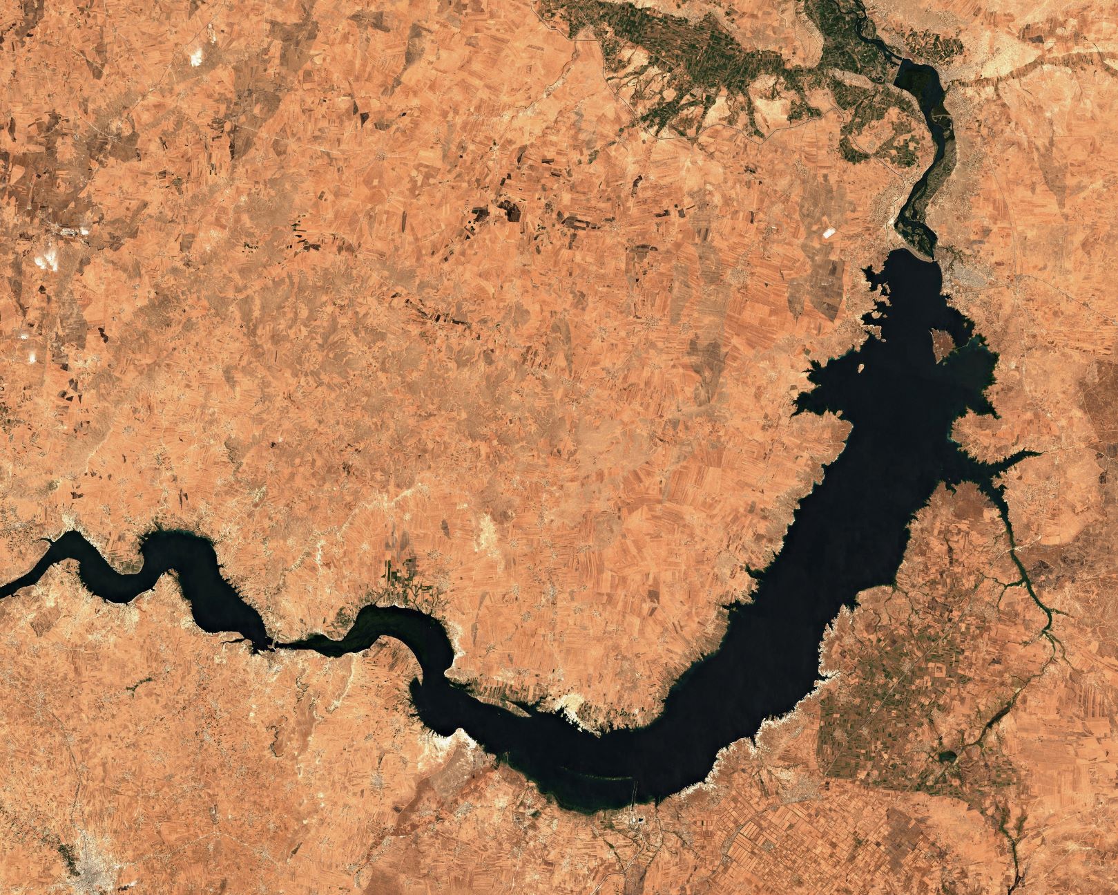 Syrie: sécheresse et géopolitique menacent les riverains de l'Euphrate
