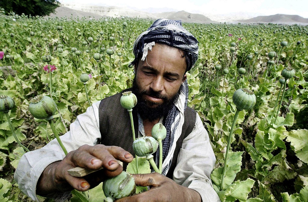 Les talibans peuvent-ils se passer de la manne de la drogue ?