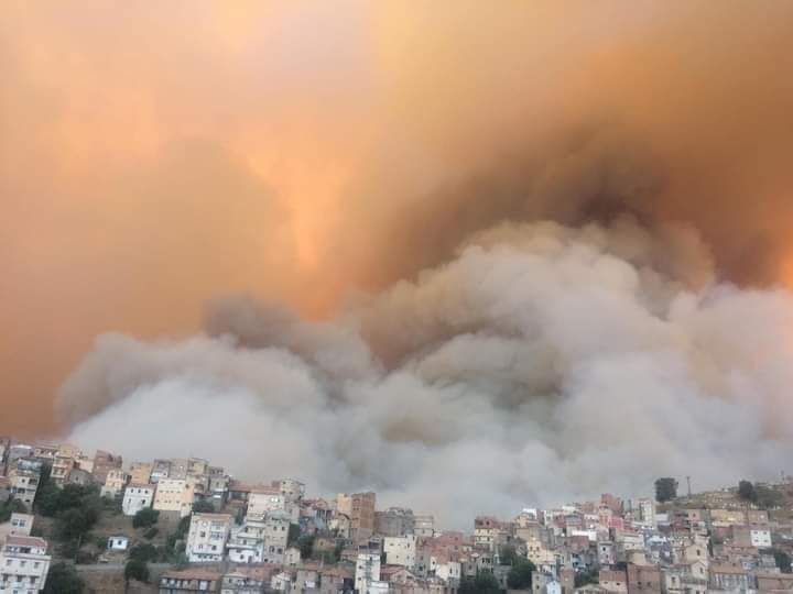 Algérie: plus de 65 morts dans les incendies qui ravagent le nord