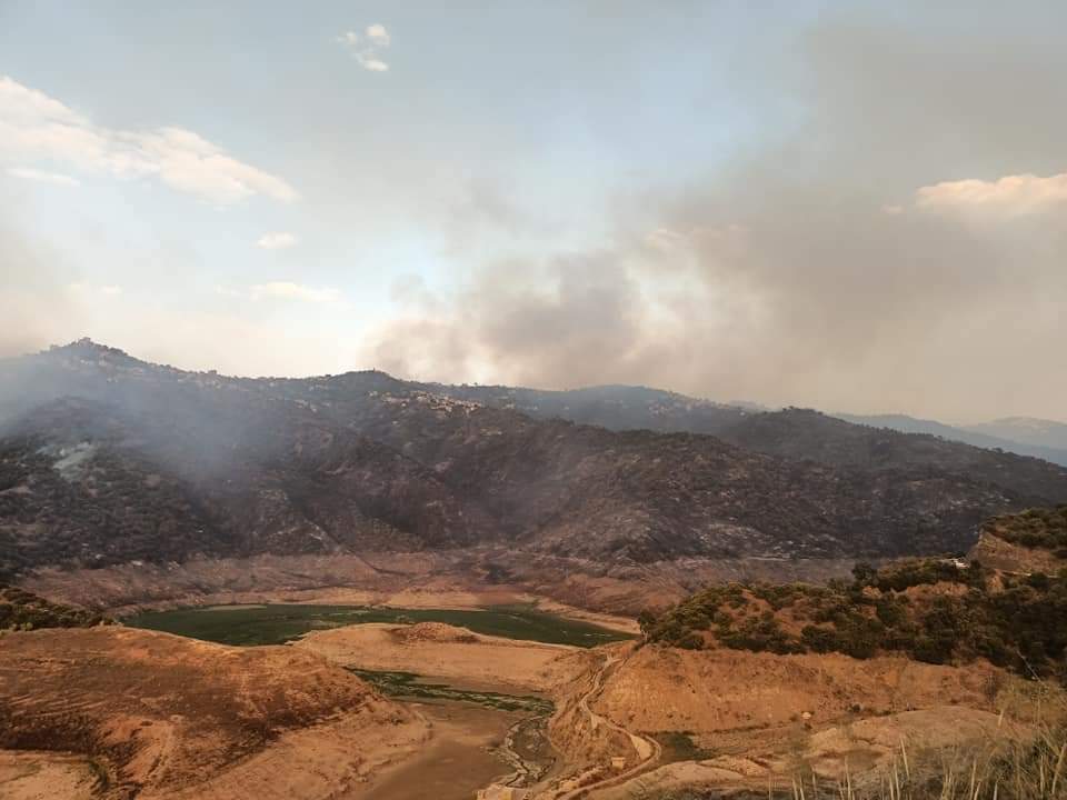 Algérie: la lutte contre les incendies progresse, une population sous le choc
