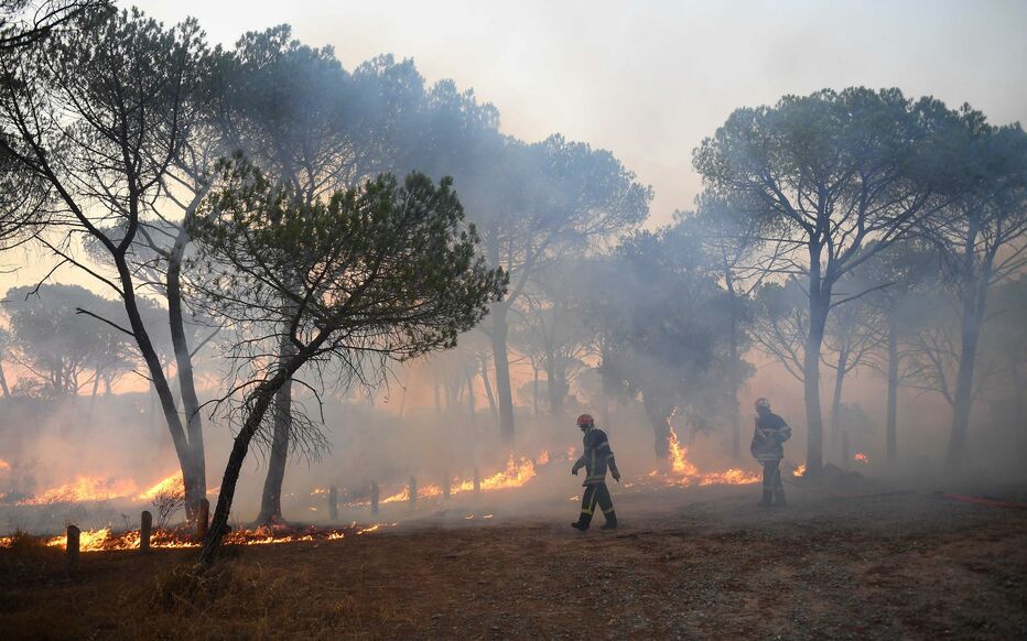 Un double incendie sur la cote landaise: plus de 200 pompiers mobilisés, au moins 80 ha de forêt détruits