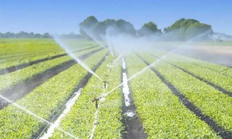 Plan Maroc Vert: 104 milliards de DH investis et 135 522 ha de terres agricoles mobilisés