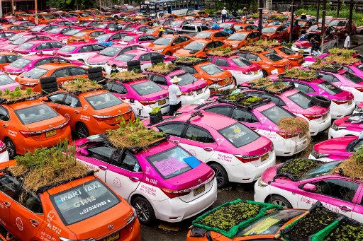 Des jardinets potagers et des mini-mares accueillant des grenouilles : les toits et capots de taxis abandonnés ont trouvé une nouvelle vie à Bangkok (Photo, AFP)