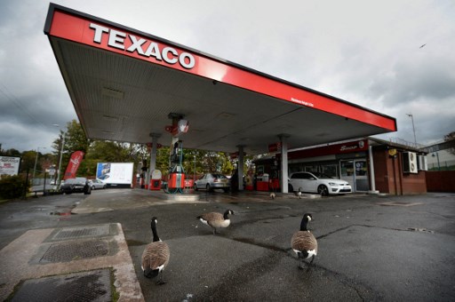 Des oies traversent le parvis d'une station-service à Manchester, dans le nord-ouest de l'Angleterre, le 18 octobre 2016. (Anthony Devlin/AFP)