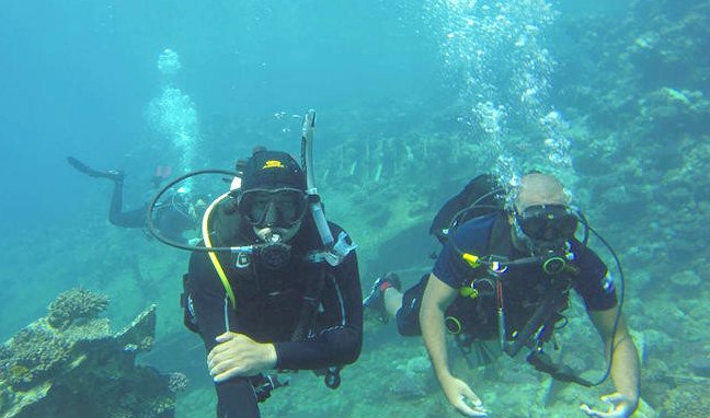 Les touristes donnent une nouvelle dimension à la plongée sous-marine à Djeddah