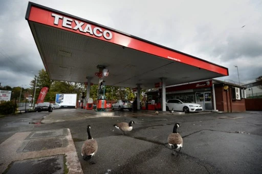 Des oies traversent le parvis d'une station-service à Manchester, dans le nord-ouest de l'Angleterre, le 18 octobre 2016. (Anthony Devlin/AFP)