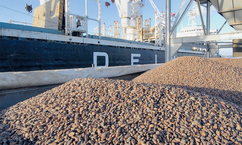 Le Maroc nettement moins dépendant des produits de base que d’autres pays en développement