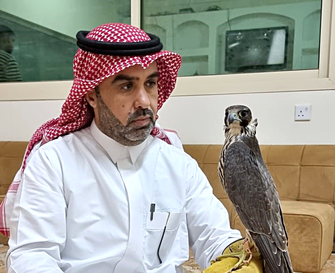 Les salles de vente aux enchères de faucons en Arabie saoudite exposent les plus beaux rapaces
