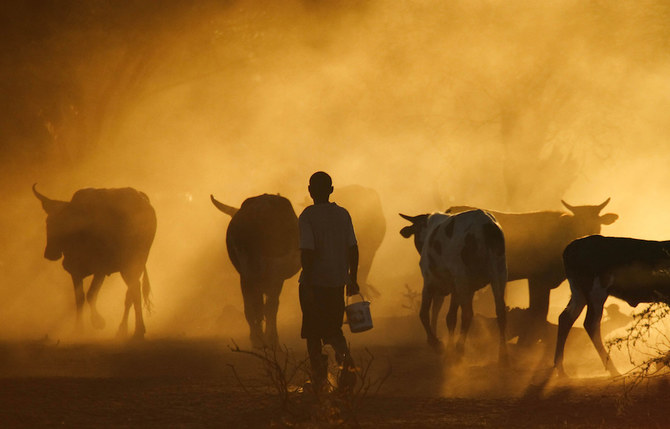 Une initiative dirigée par l'Arabie saoudite étudie l'impact du changement climatique sur la sécurité alimentaire