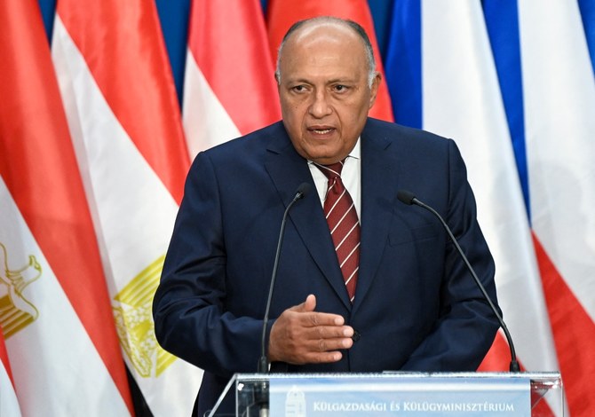 L'Égypte réitère son appel à toutes les forces étrangères de quitter la Libye