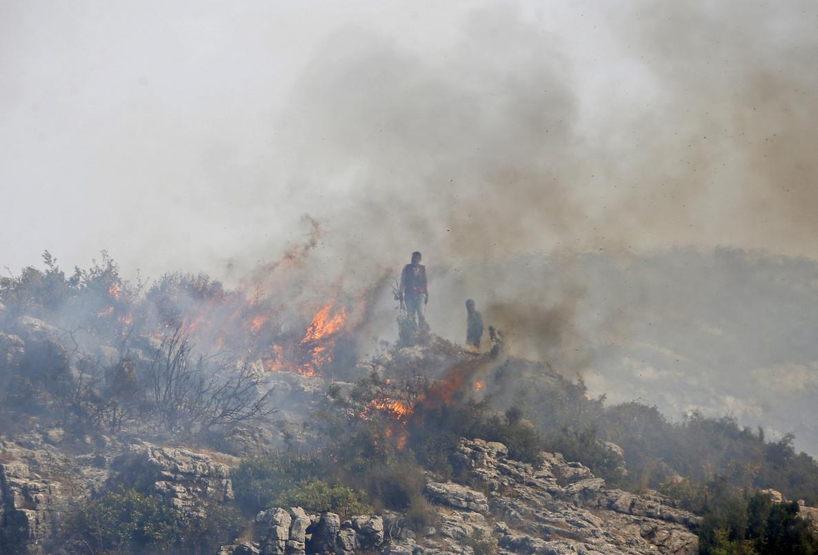 24 Syriens accusés d'être à l'origine de feux de forêt exécutés par le régime