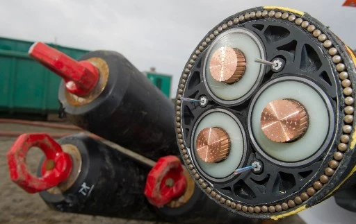 Une photo prise le 17 novembre 2015 à Lubmin, dans le nord-est de l'Allemagne, montre une coupe transversale d'un câble sous-marin vu au point d'arrivée du projet de connexion au réseau 50Hertz Ostwind 1. (Stefan Sauer/ dpa/AFP)