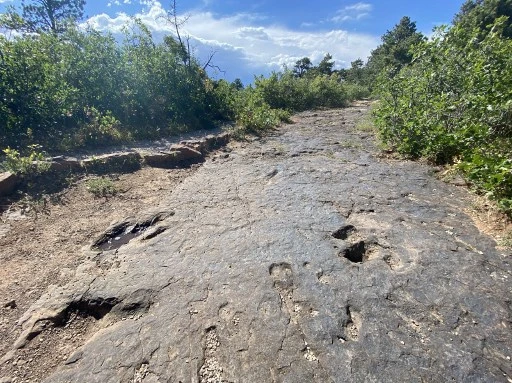 Des traces de dinosaures fossilisées sur le sol sur le bord surplombant Bull Canyon près de Manti dans la forêt nationale de La-Sal du côté de l'Utah le 14 juillet 2020. La zone actuelle était une plaine côtière peu profonde qui était juste au-dessus du niveau de la mer. Il y a soixante-six millions d'années, un énorme objet céleste a frappé au large des côtes de l'actuel Mexique, déclenchant une période de refroidissement catastrophique qui a finalement anéanti les trois quarts de la vie sur Terre, y compris les dinosaures. (Eric Baradat/AFP)