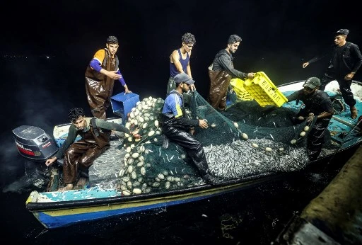 Des pêcheurs palestiniens sur un convoi de bateaux au large de la côte de la ville de Gaza, le 22 septembre 2021. Forcés de rester près du rivage en raison des restrictions israéliennes sur les moteurs puissants, les hommes se plaignent de devoir chercher une prise dans des eaux peu profondes surexploitées. (Mahmud Hams/AFP)