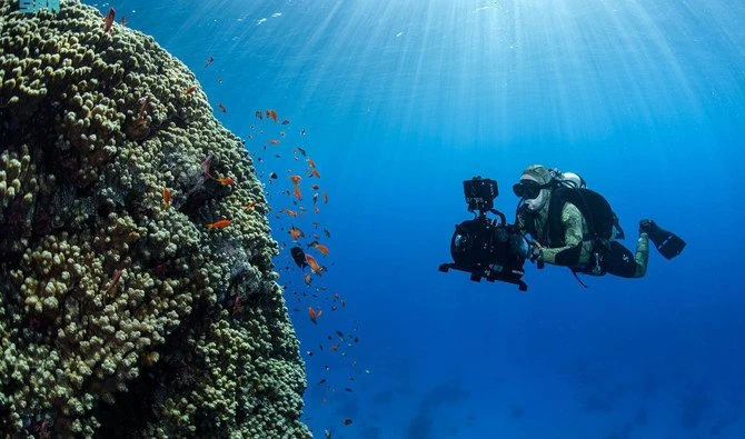 Arabie saoudite: De nouveaux secrets dans les profondeurs de la mer Rouge