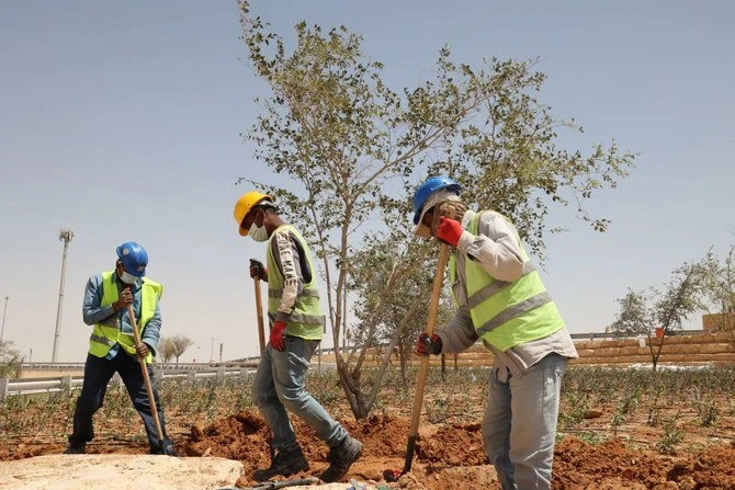 Comment l’Initiative verte saoudienne pourrait révolutionner le monde