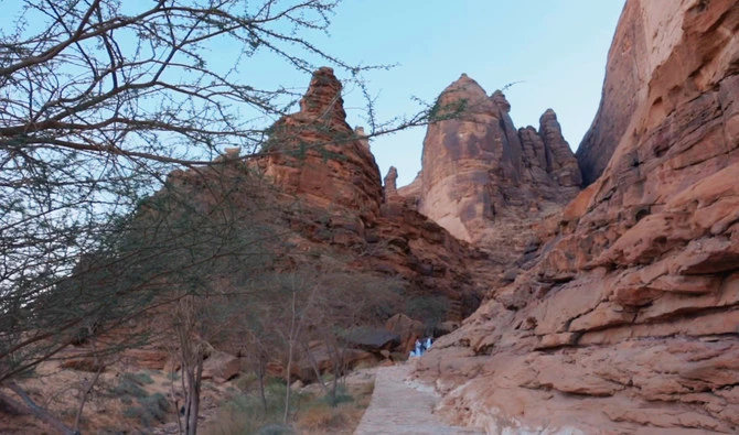 «Bibliothèque ouverte»: les touristes d'AlUla voient dans les anciennes inscriptions d'Ikmah un passé lointain