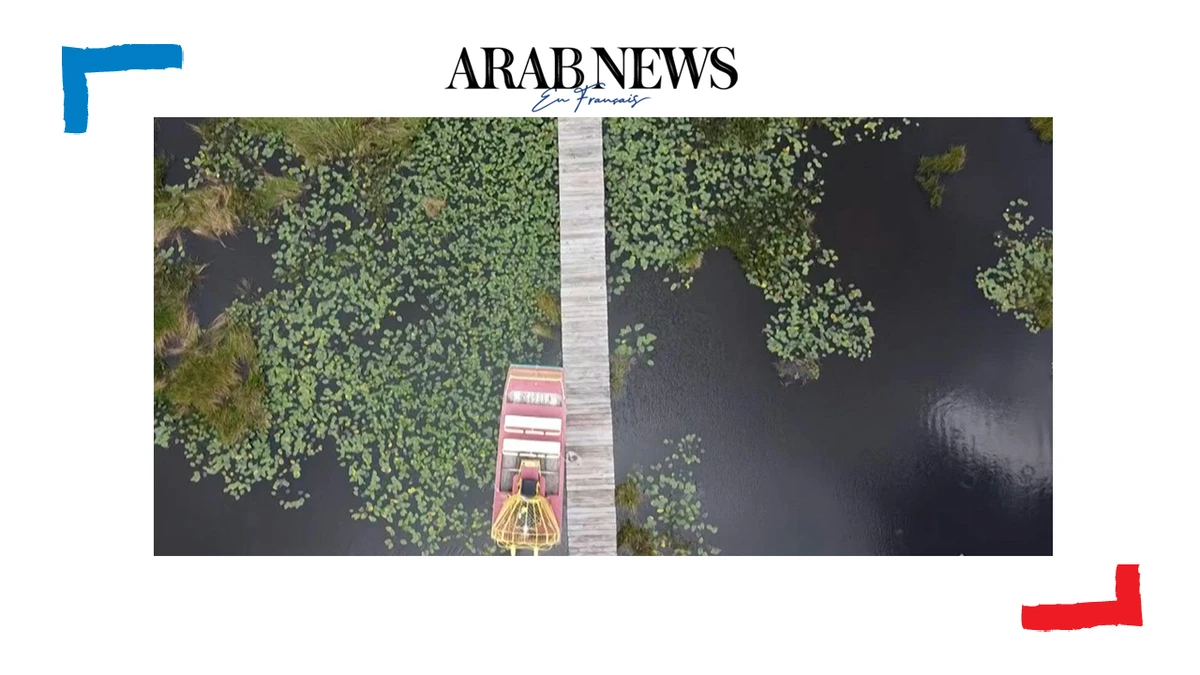 Le marécage des Everglades, un joyau de Floride menacé par le changement climatique