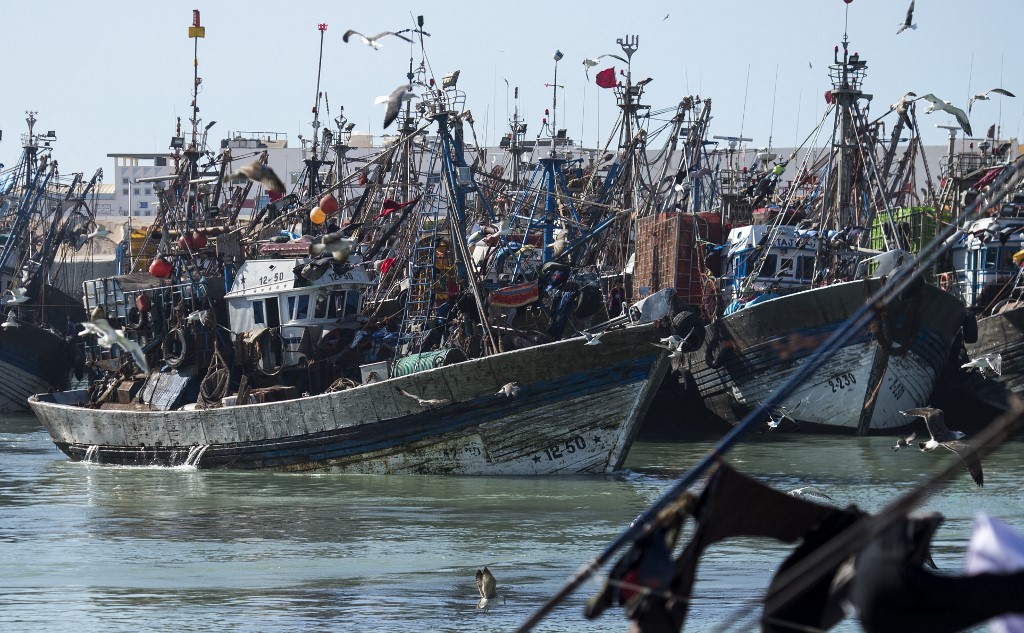 Des bateaux de pêche sont amarrés dans le port de Laâyoune, la principale ville du "Sahara Occidental" sous contrôle marocain, le 3 novembre 2018. (AFP)