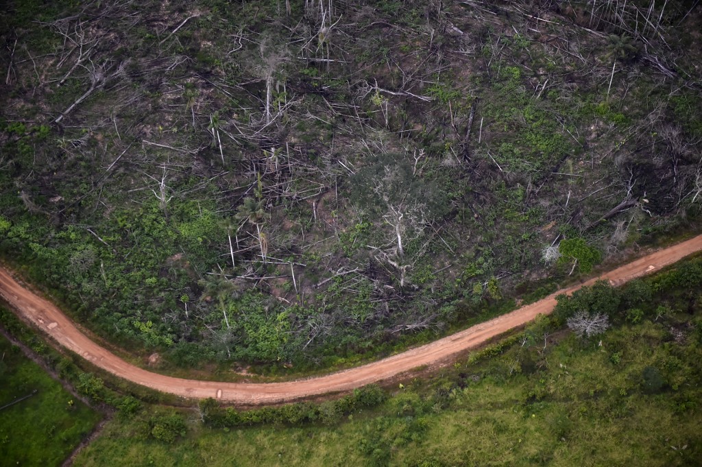 Pour le climat, les dirigeants mondiaux s'attaquent au méthane et protègent les forêts